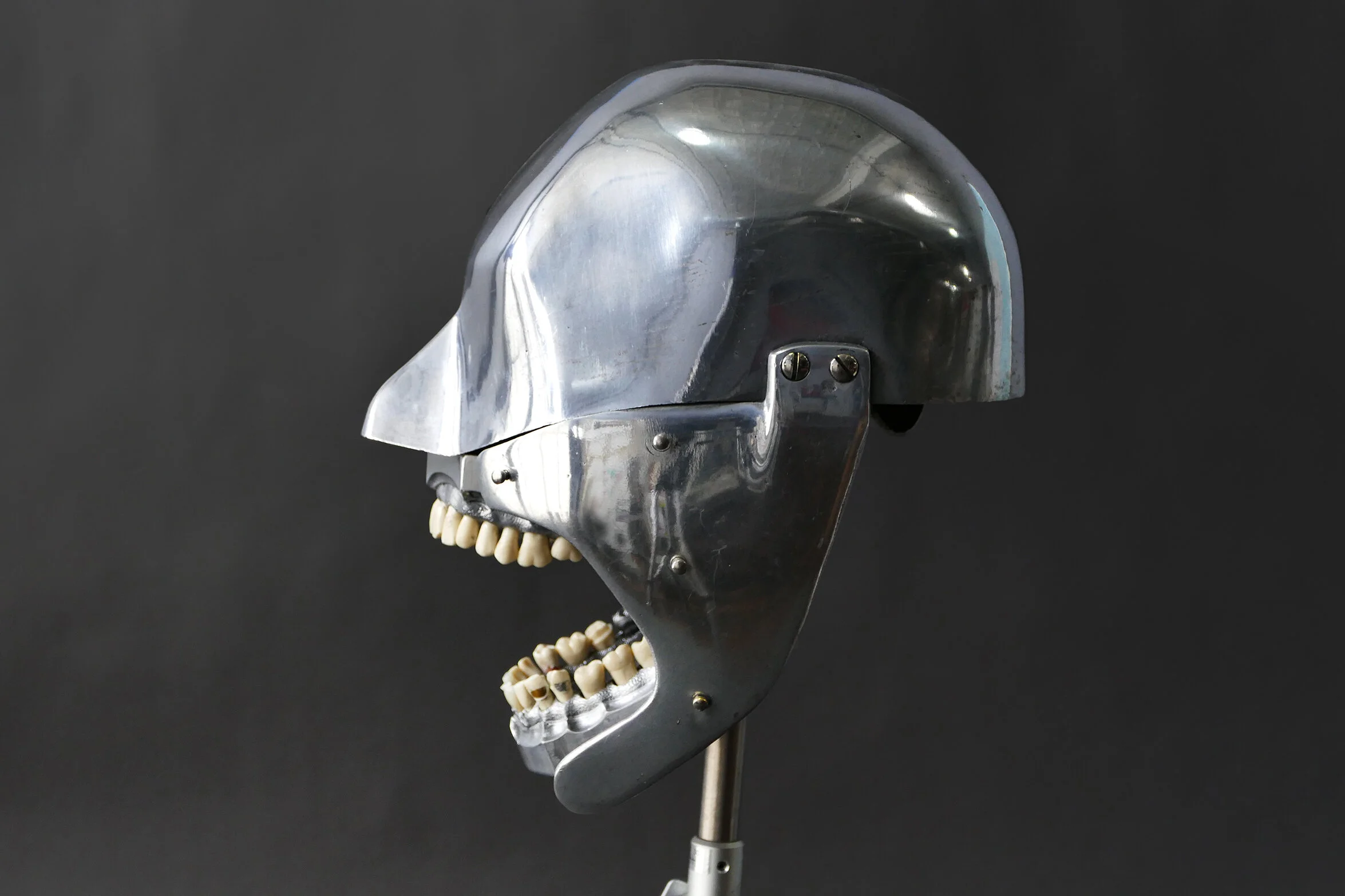 Skeleton Base Phantom Glow Amon 約30cm Buy Vampire Skeleton for $3.00 - 3D model on Thangs